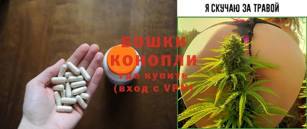 индика Покачи