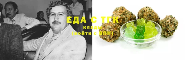 индика Покачи