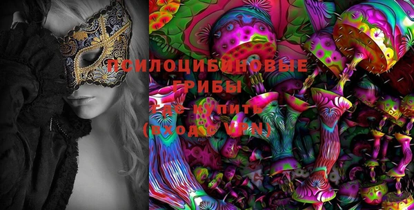индика Покачи