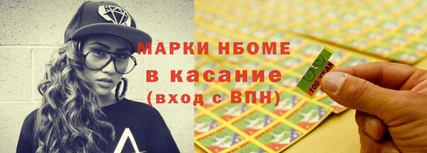 индика Покачи